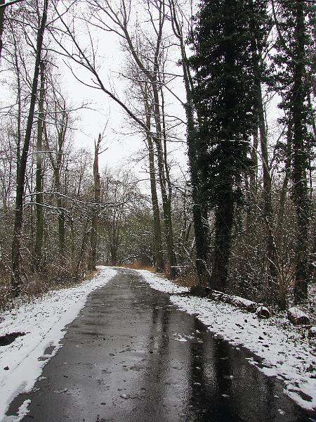 Wandeling De Paalse Plas 24-2-2013 (24).JPG